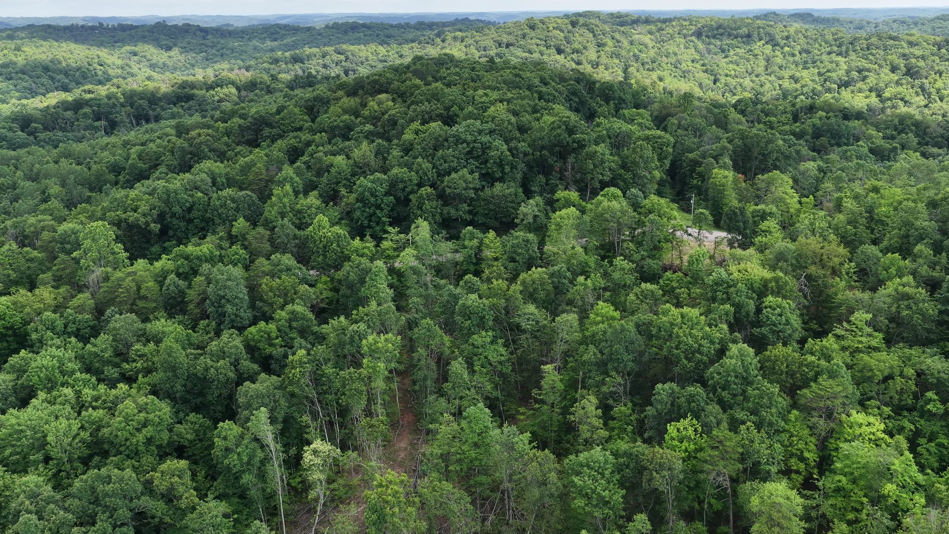 8 Acres with Road Frontage in Washington County, OH - Shay Ridge Road Tract 1 - Photo 10