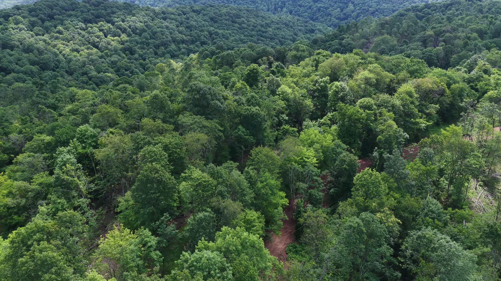 8 Acres of Wooded Hillside in Washington County, OH - Shay Ridge Road Tract 4 - Photo 11