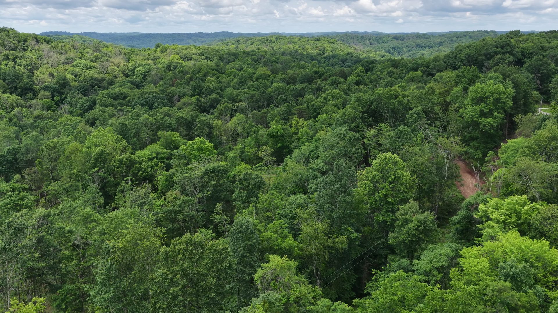 8 Acres of Wooded Hillside in Washington County, OH - Shay Ridge Road Tract 4 - Photo 12