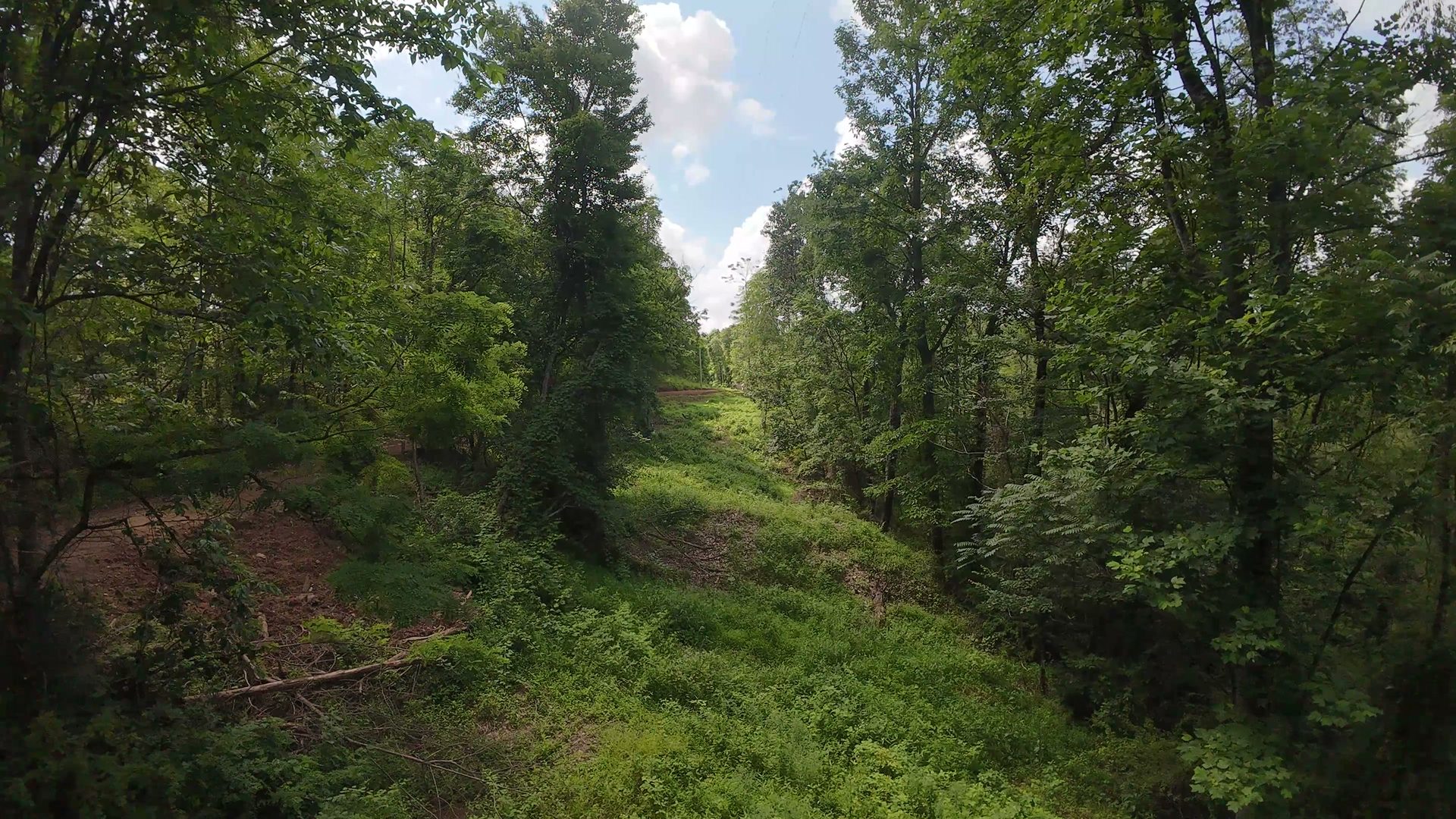 8 Acres of Wooded Hillside in Washington County, OH - Shay Ridge Road Tract 4 - Photo 13