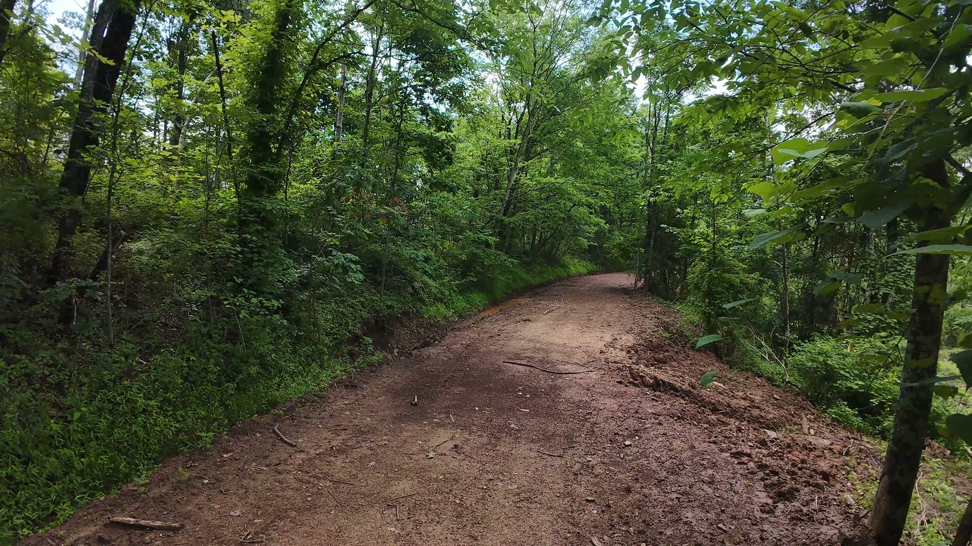 8 Acres of Wooded Hillside in Washington County, OH - Shay Ridge Road Tract 4 - Photo 14