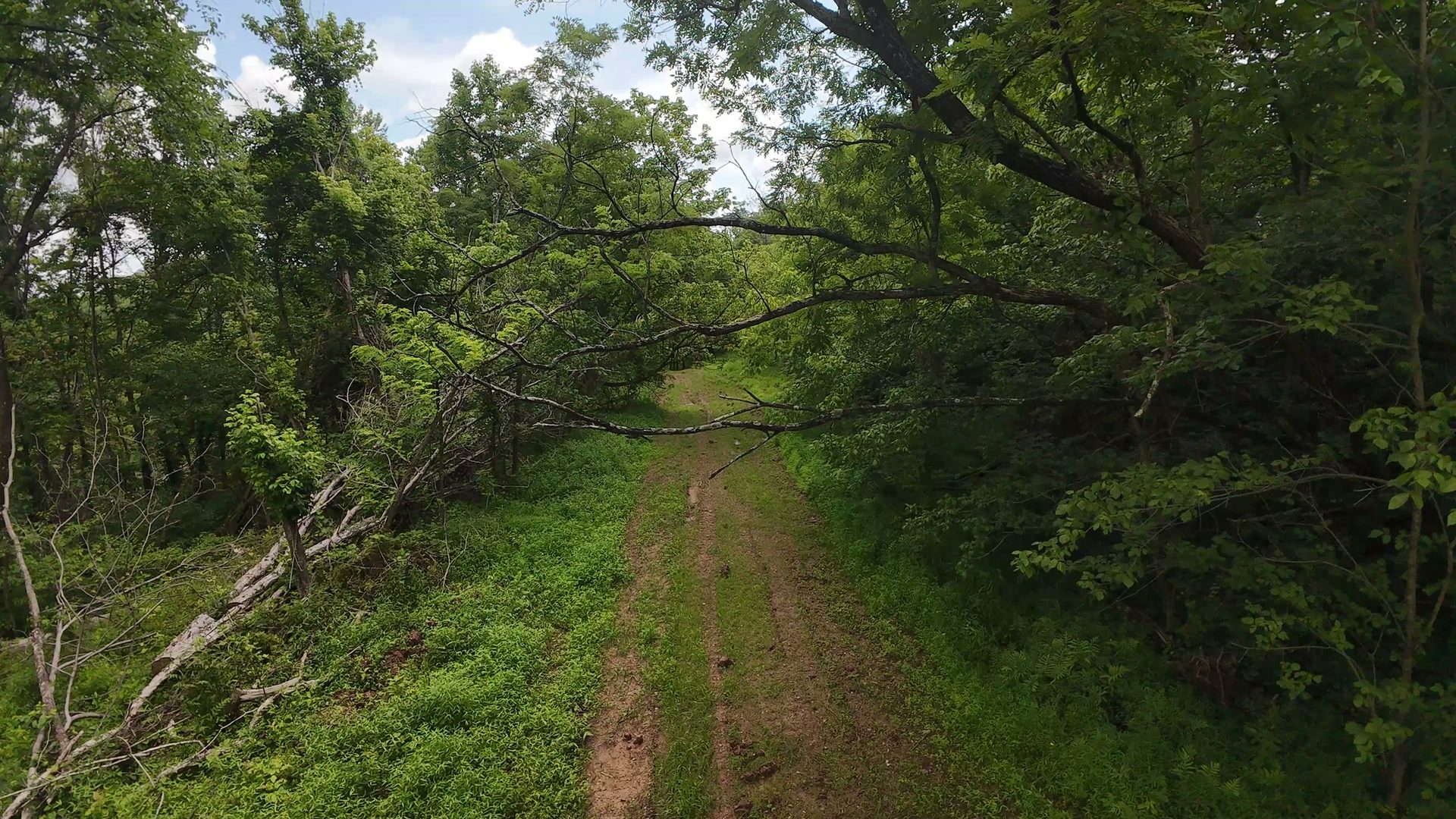 8 Acres of Wooded Hillside in Washington County, OH - Shay Ridge Road Tract 4 - Photo 15