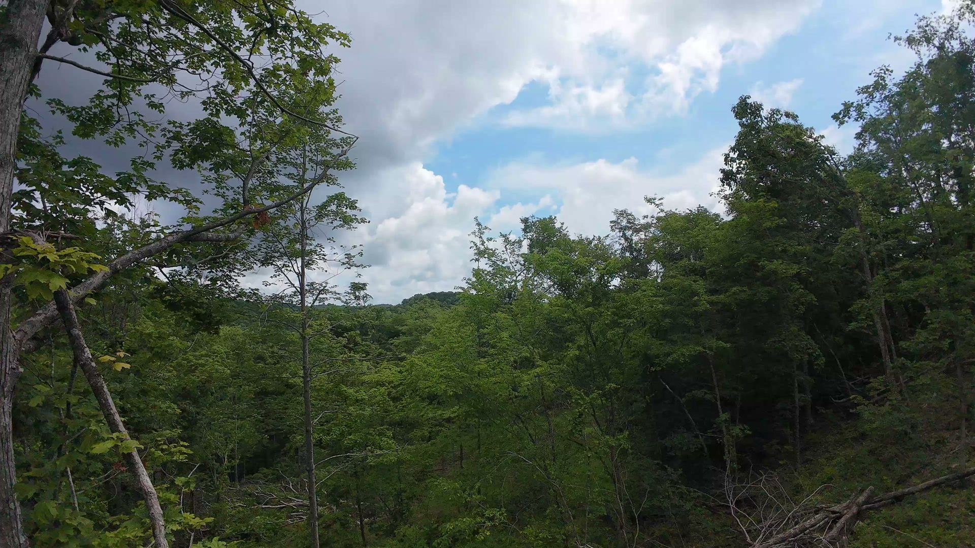 8 Acres of Wooded Hillside in Washington County, OH - Shay Ridge Road Tract 4 - Photo 16