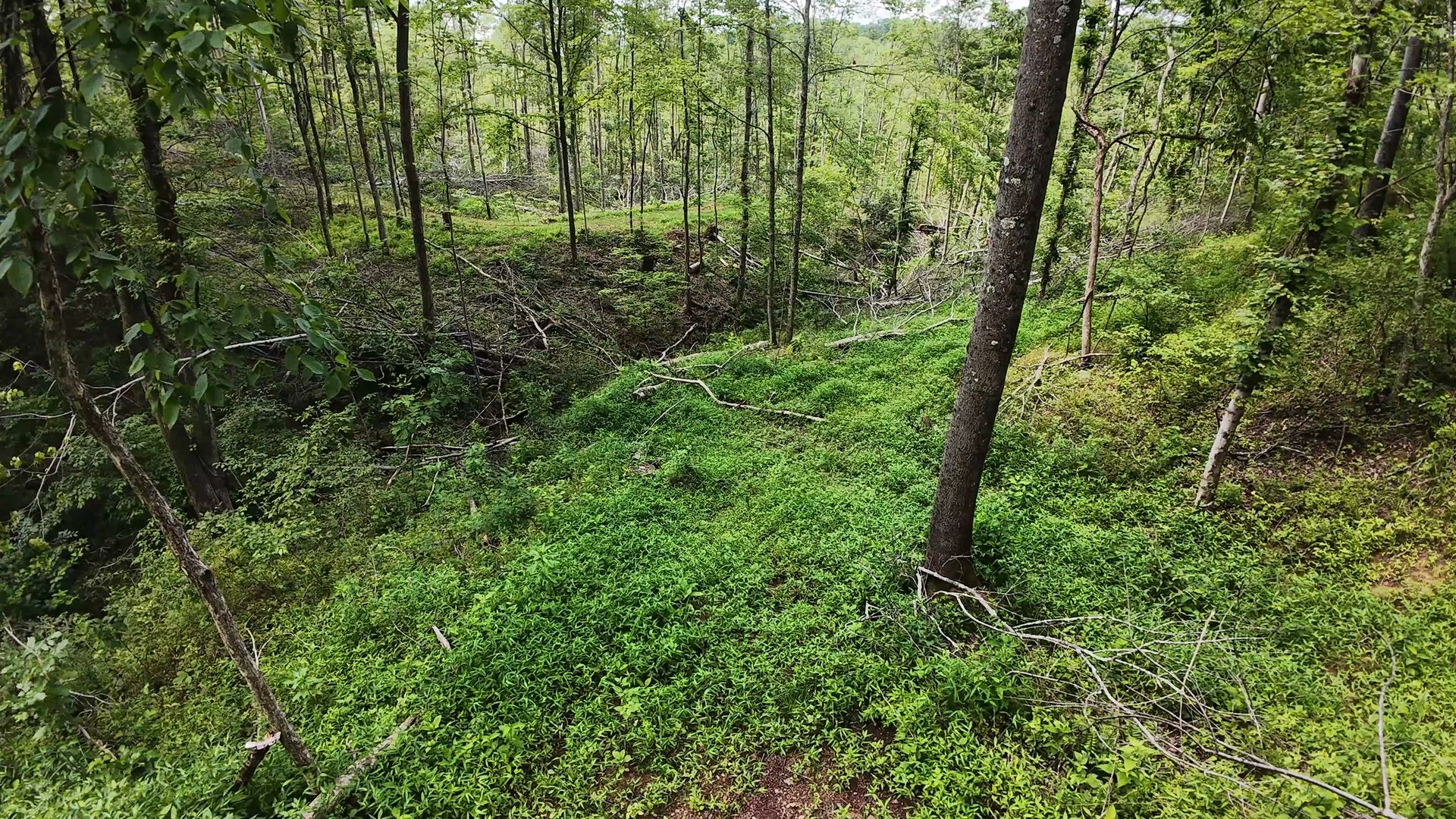 8 Acres of Wooded Hillside in Washington County, OH - Shay Ridge Road Tract 4 - Photo 17
