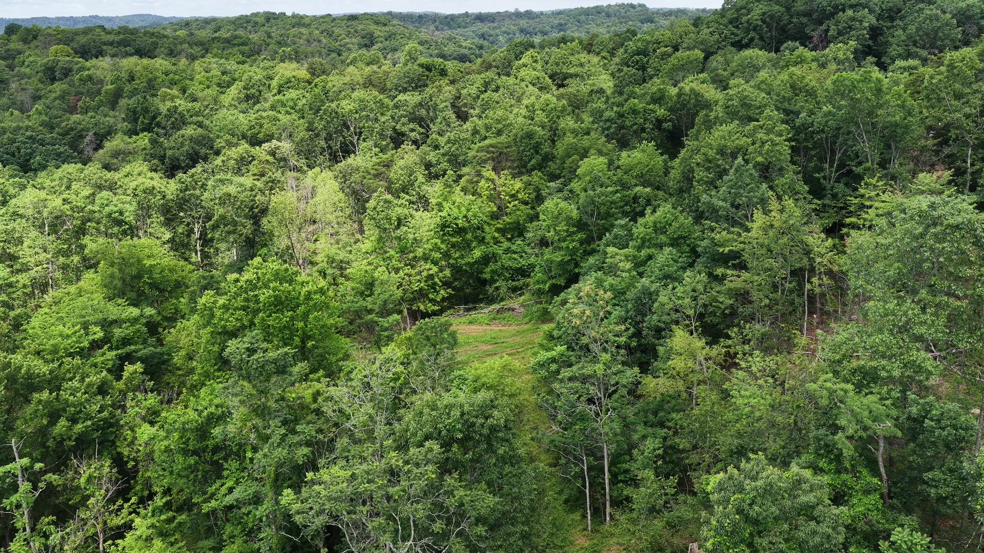 8 Acres of Wooded Hillside in Washington County, OH - Shay Ridge Road Tract 4 - Photo 18