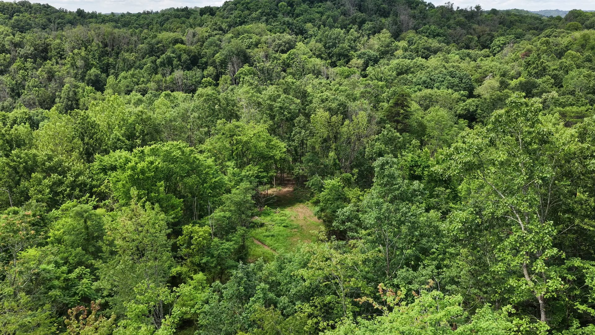 8 Acres of Wooded Hillside in Washington County, OH - Shay Ridge Road Tract 4 - Photo 19