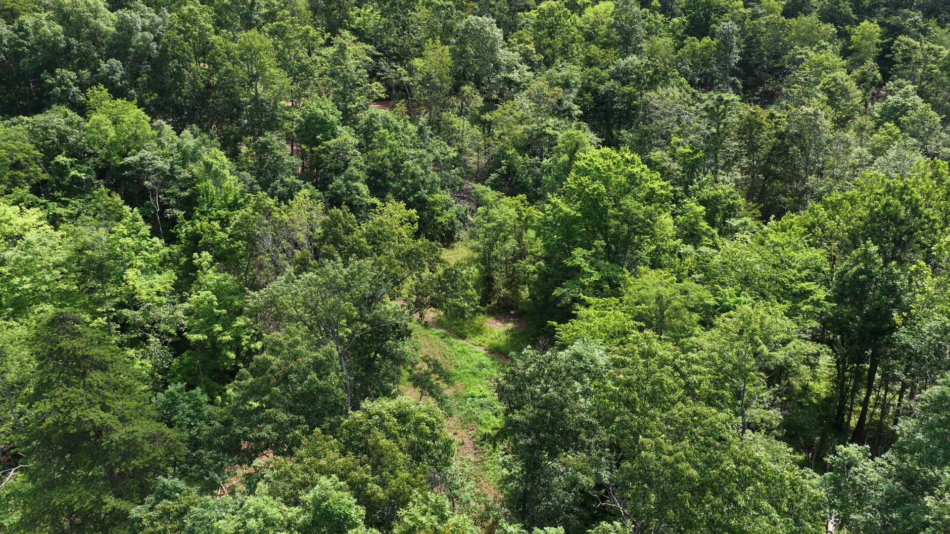 8 Acres of Wooded Hillside in Washington County, OH - Shay Ridge Road Tract 4 - Photo 20