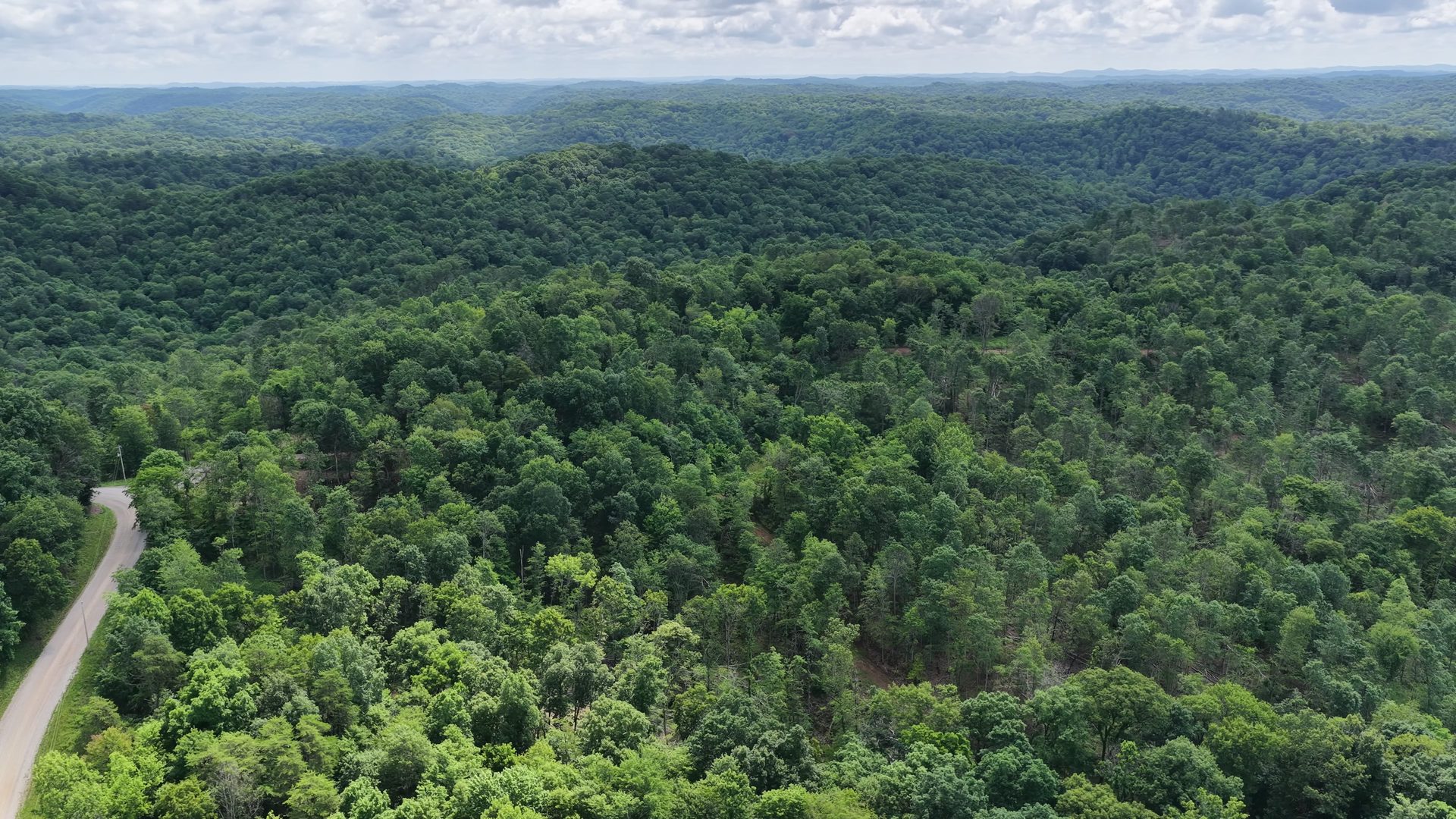 8 Acres of Wooded Hillside in Washington County, OH - Shay Ridge Road Tract 4 - Photo 3