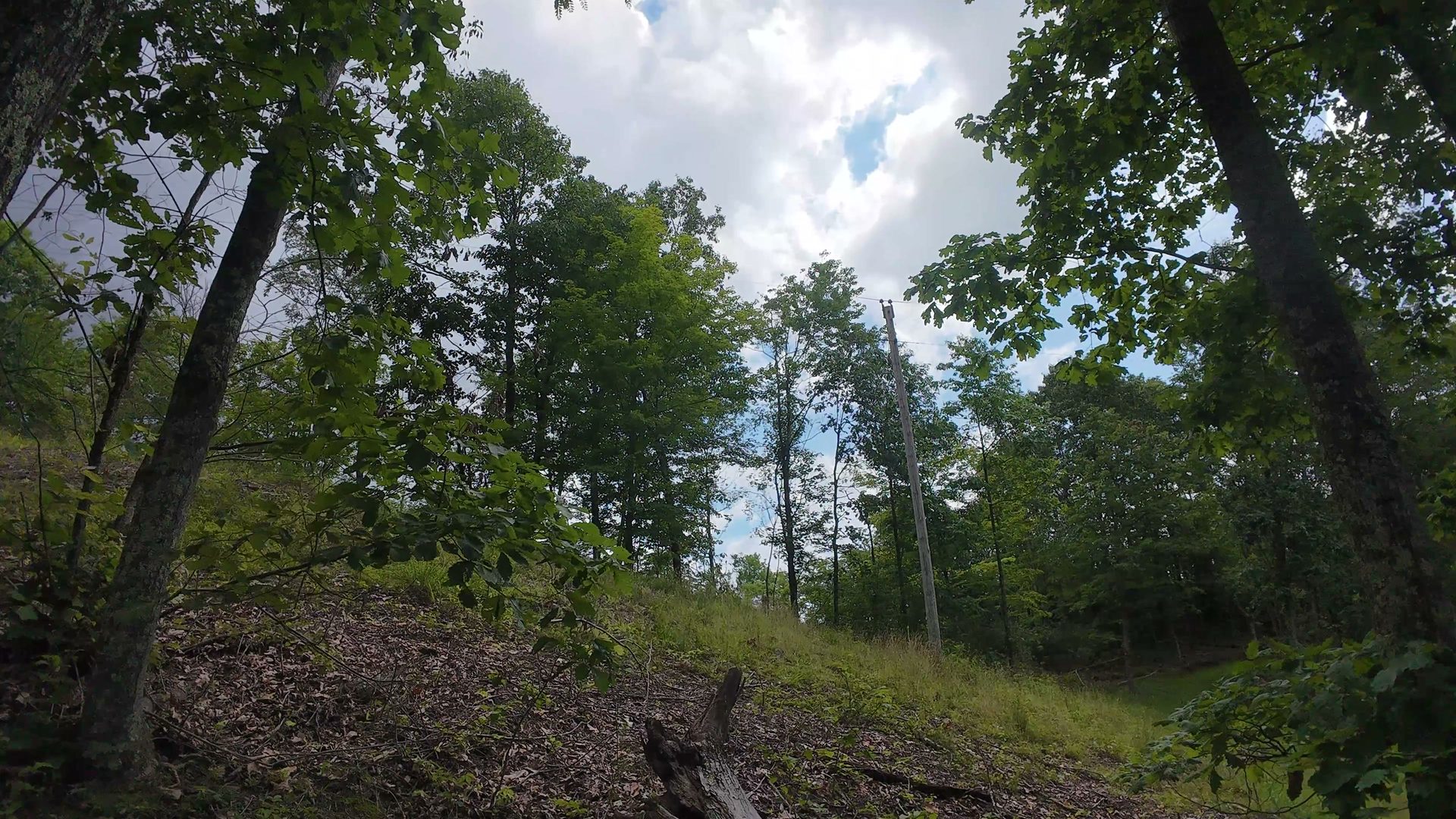 8 Acres of Wooded Hillside in Washington County, OH - Shay Ridge Road Tract 4 - Photo 21