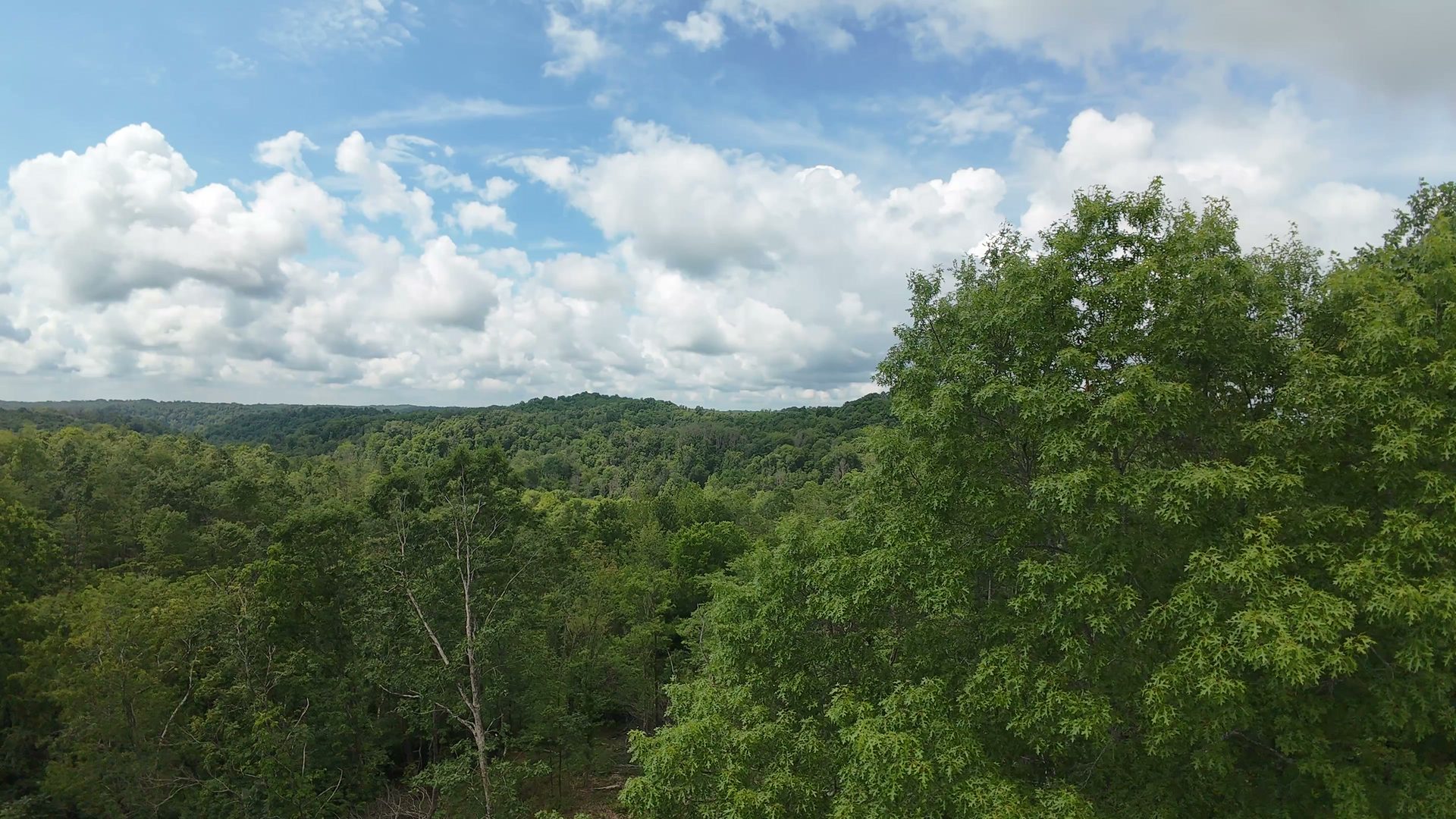 8 Acres of Wooded Hillside in Washington County, OH - Shay Ridge Road Tract 4 - Photo 23
