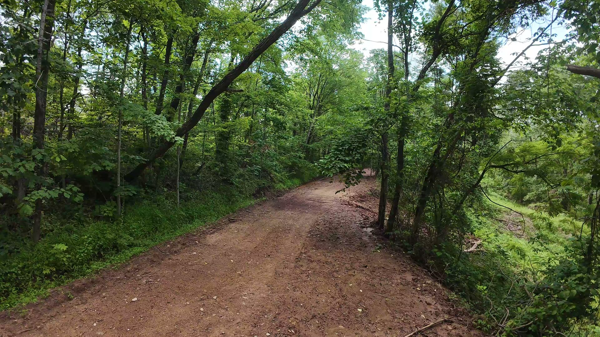 8 Acres of Wooded Hillside in Washington County, OH - Shay Ridge Road Tract 4 - Photo 24