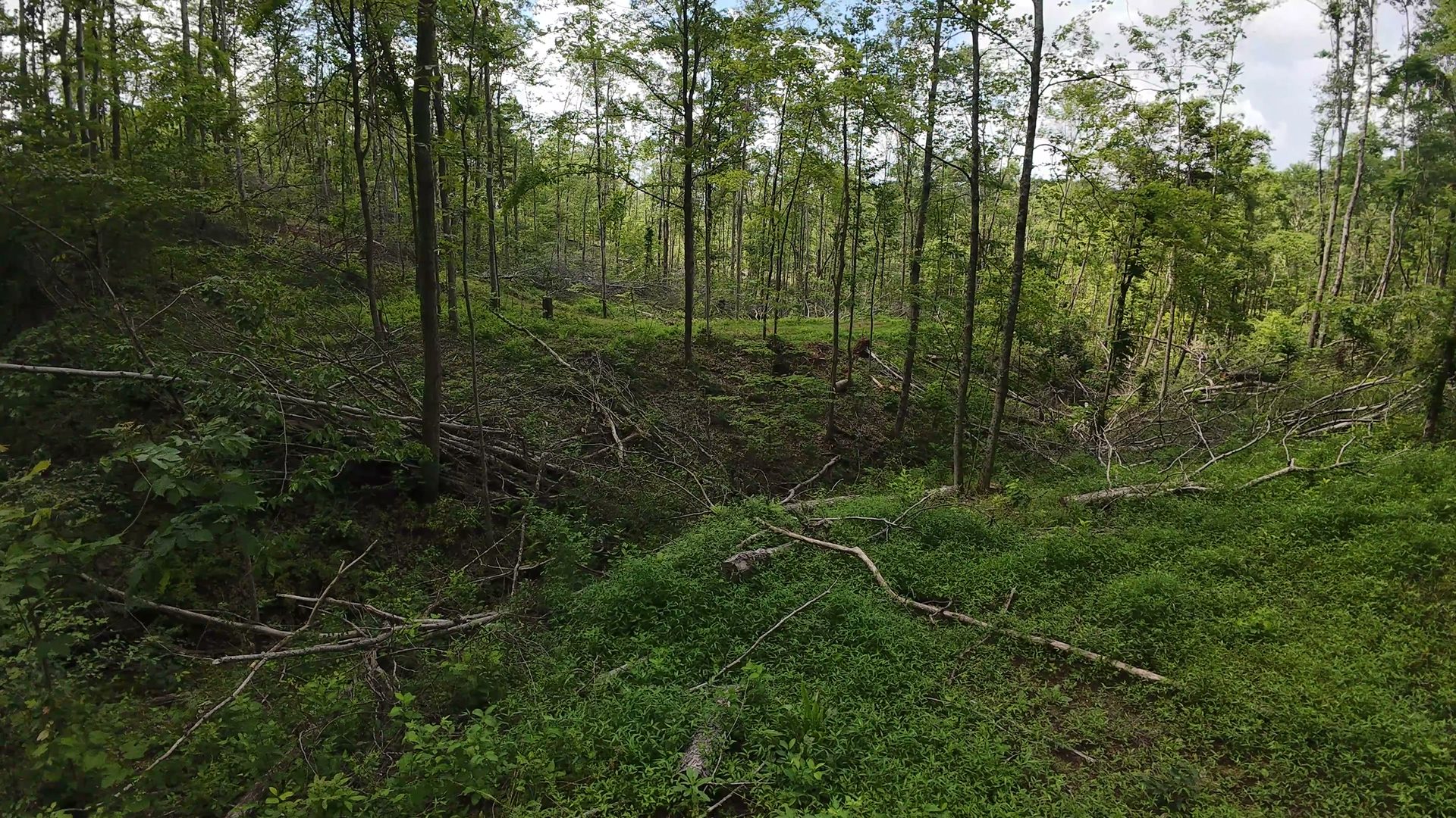 8 Acres of Wooded Hillside in Washington County, OH - Shay Ridge Road Tract 4 - Photo 25