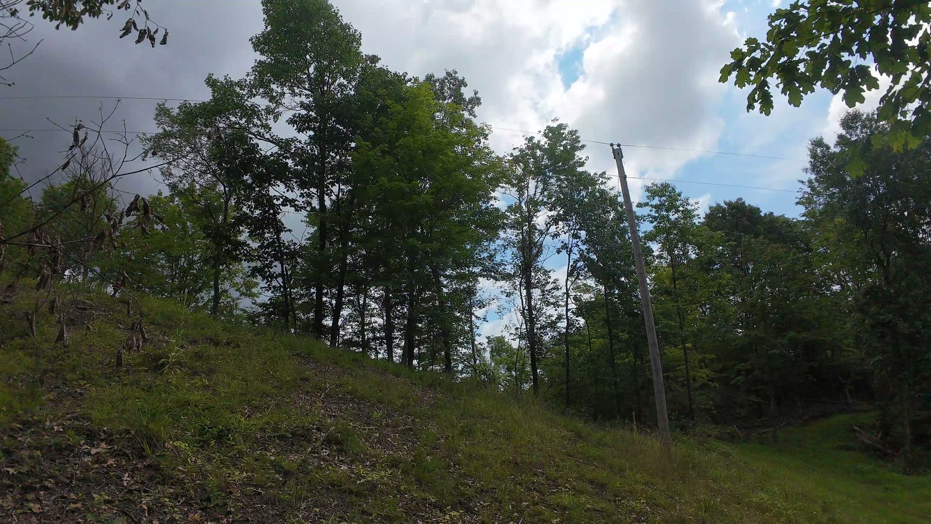 8 Acres of Wooded Hillside in Washington County, OH - Shay Ridge Road Tract 4 - Photo 26