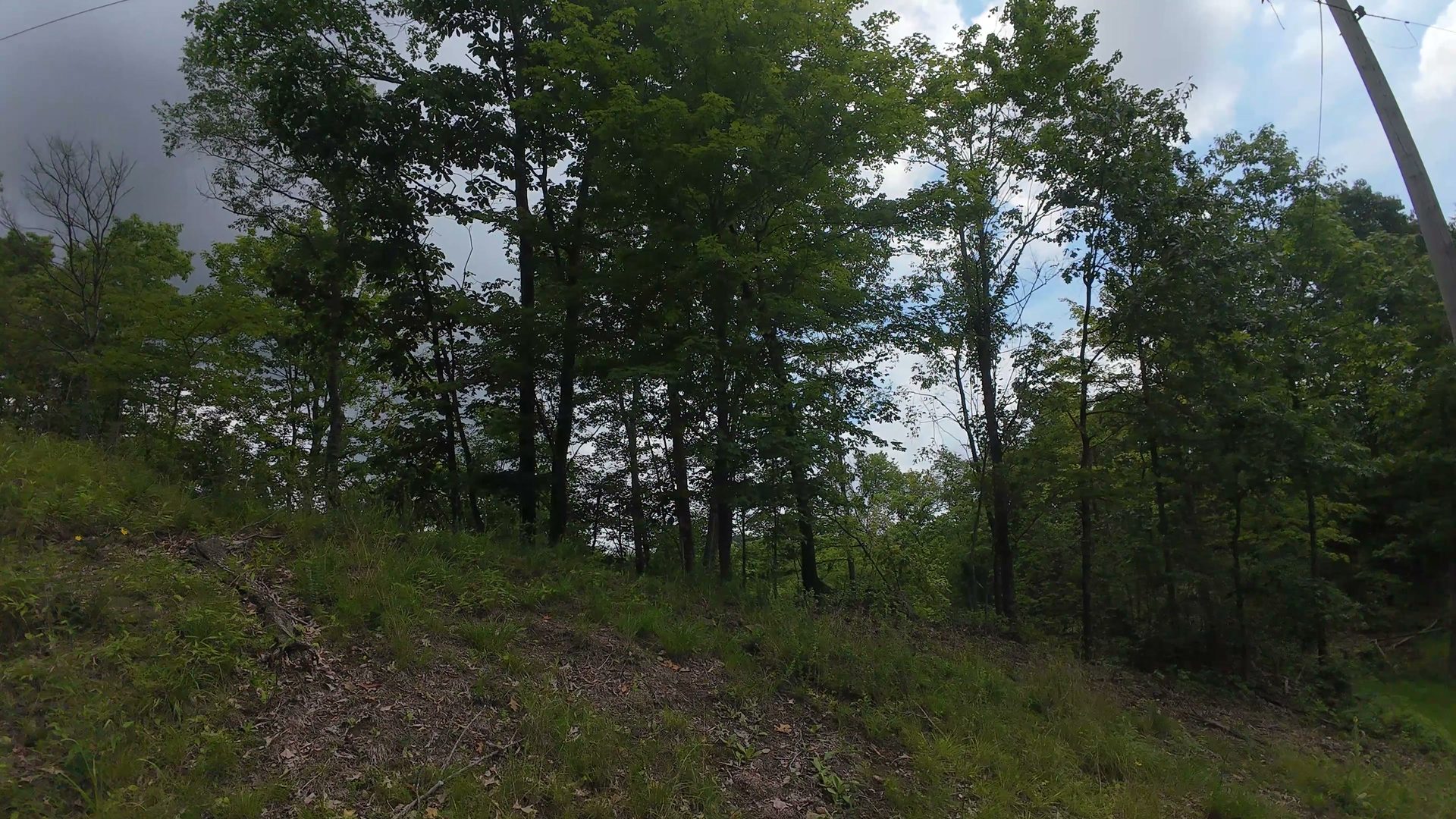 8 Acres of Wooded Hillside in Washington County, OH - Shay Ridge Road Tract 4 - Photo 27