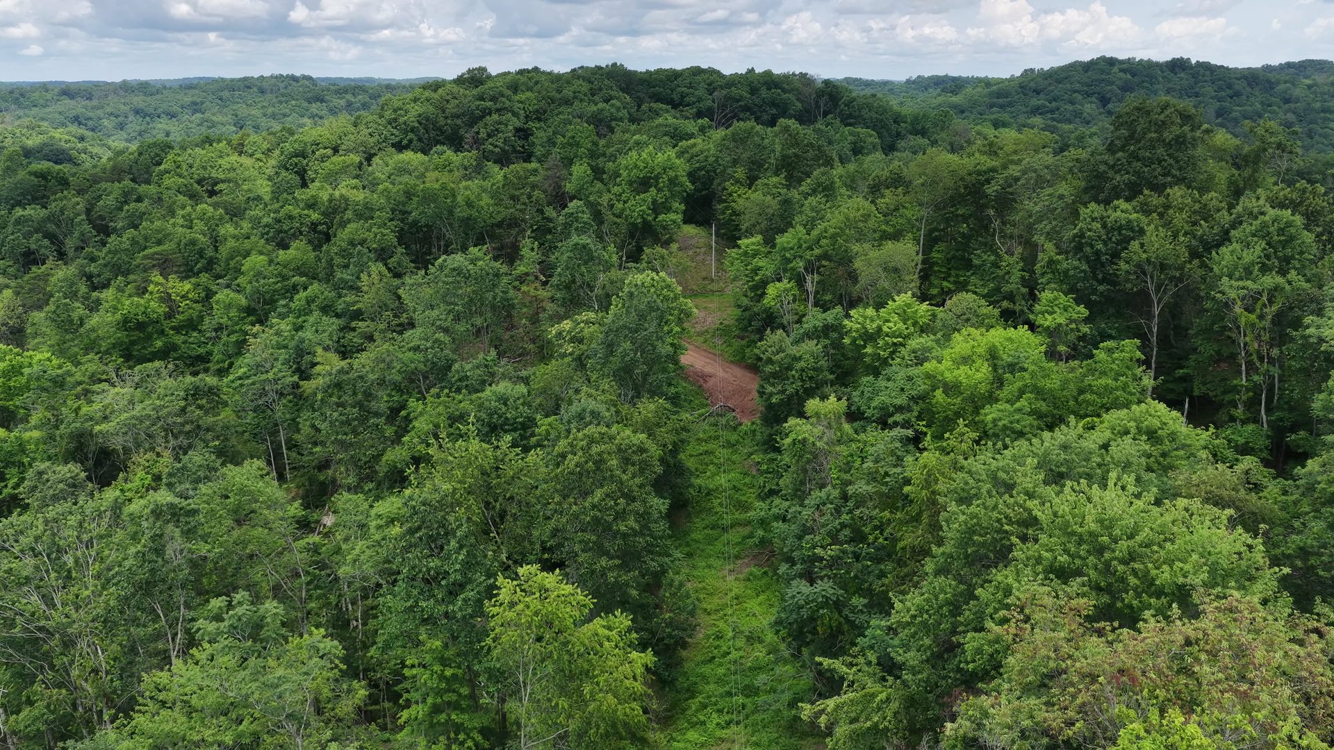 8 Acres of Wooded Hillside in Washington County, OH - Shay Ridge Road Tract 4 - Photo 5