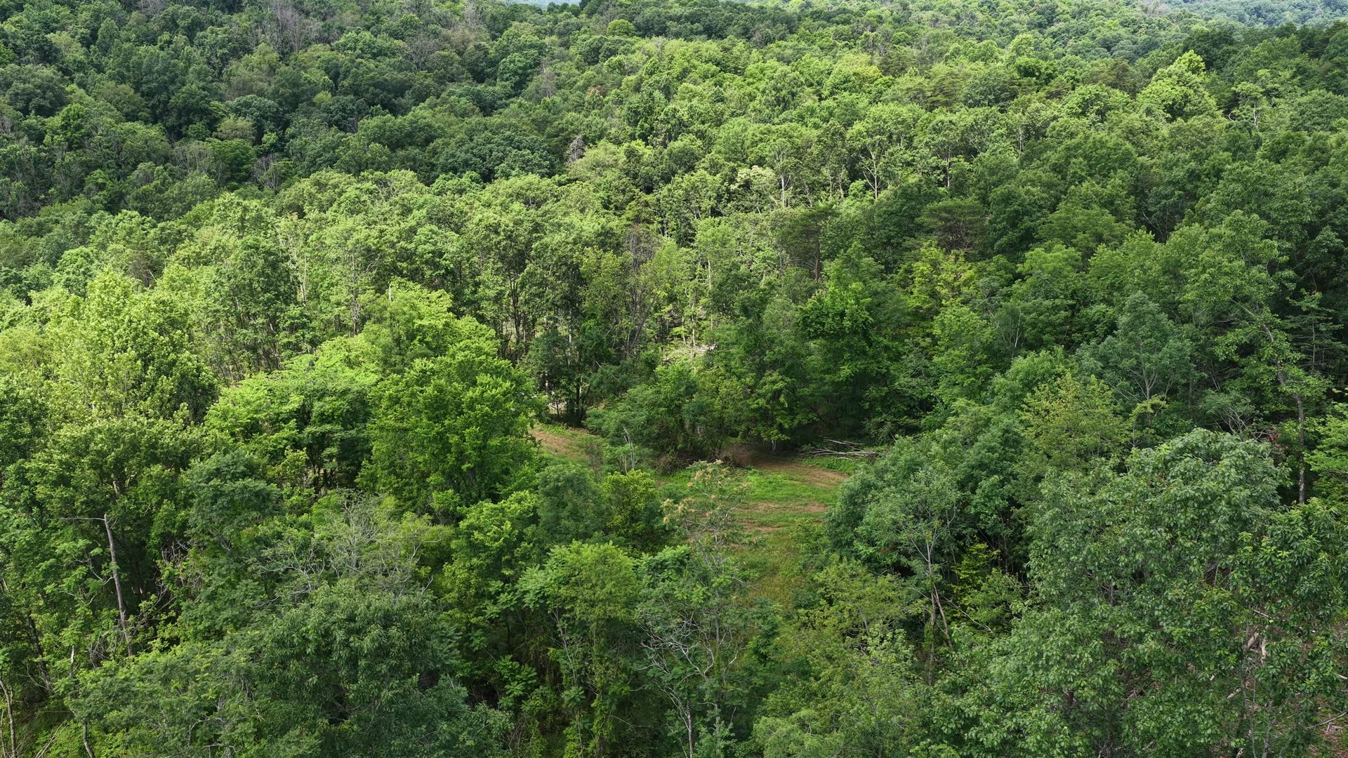 8 Acres of Wooded Hillside in Washington County, OH - Shay Ridge Road Tract 4 - Photo 7