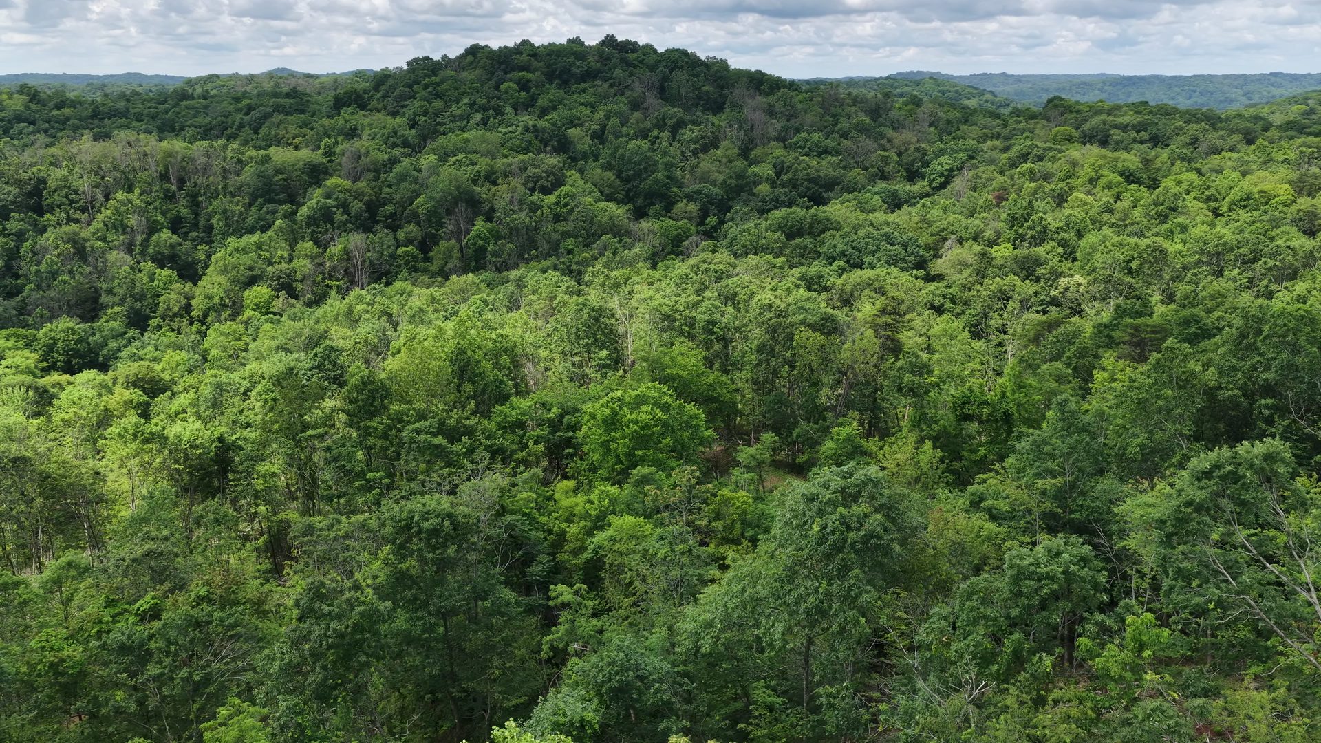 8 Acres of Wooded Hillside in Washington County, OH - Shay Ridge Road Tract 4 - Photo 8
