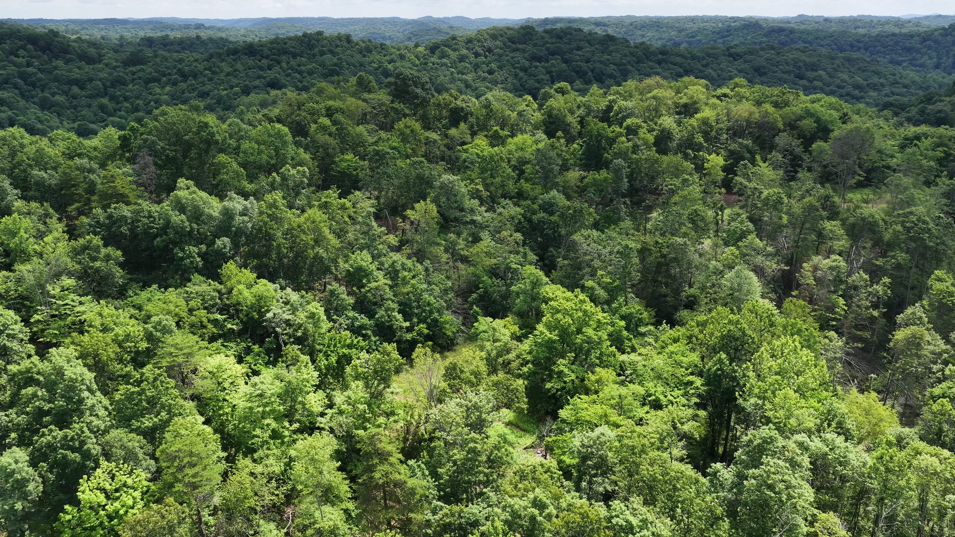 8 Acres of Wooded Hillside in Washington County, OH - Shay Ridge Road Tract 4 - Photo 9