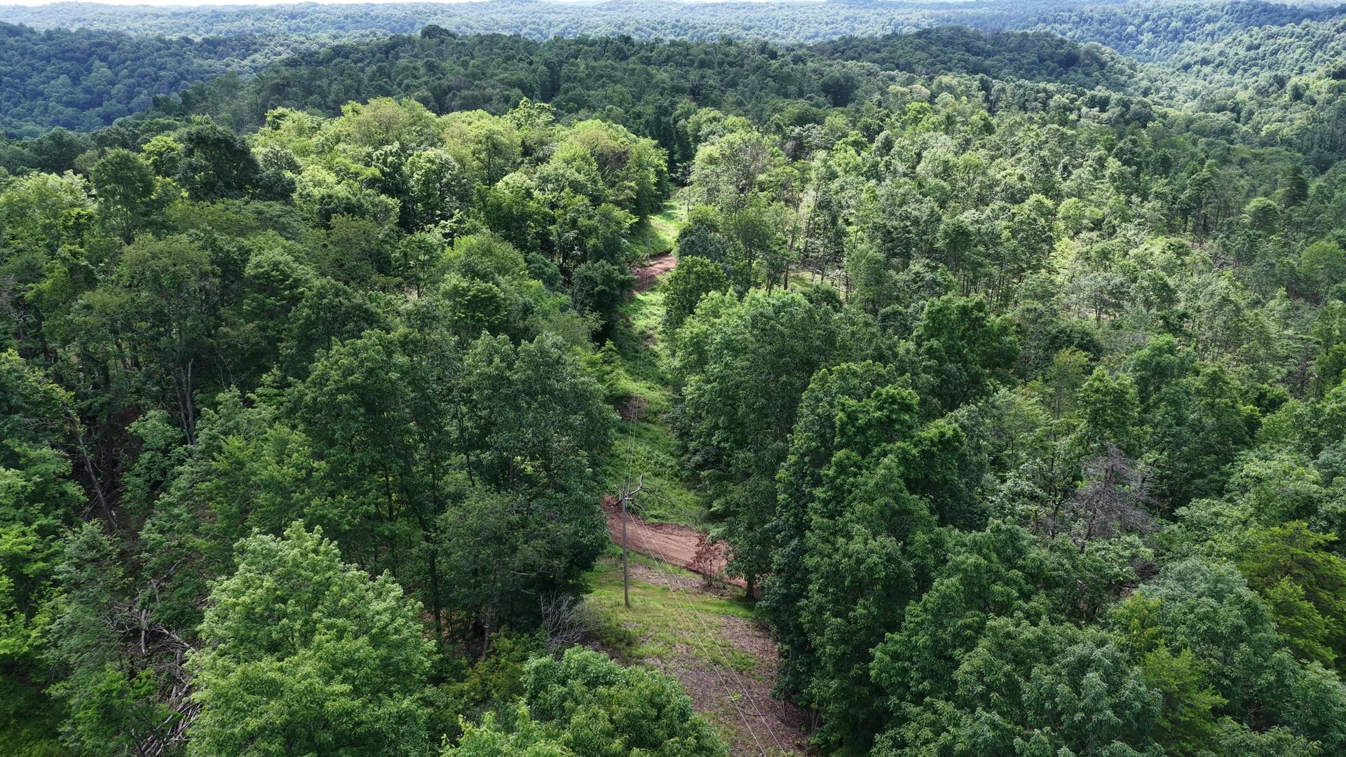 8 Acres of Wooded Hillside in Washington County, OH - Shay Ridge Road Tract 4 - Photo 10