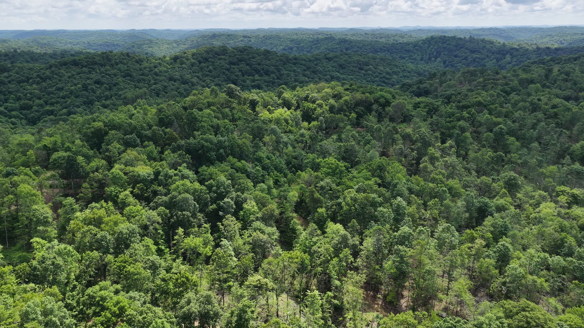 8 Acres of Wooded Hillside in Washington County, OH - Shay Ridge Road Tract 4