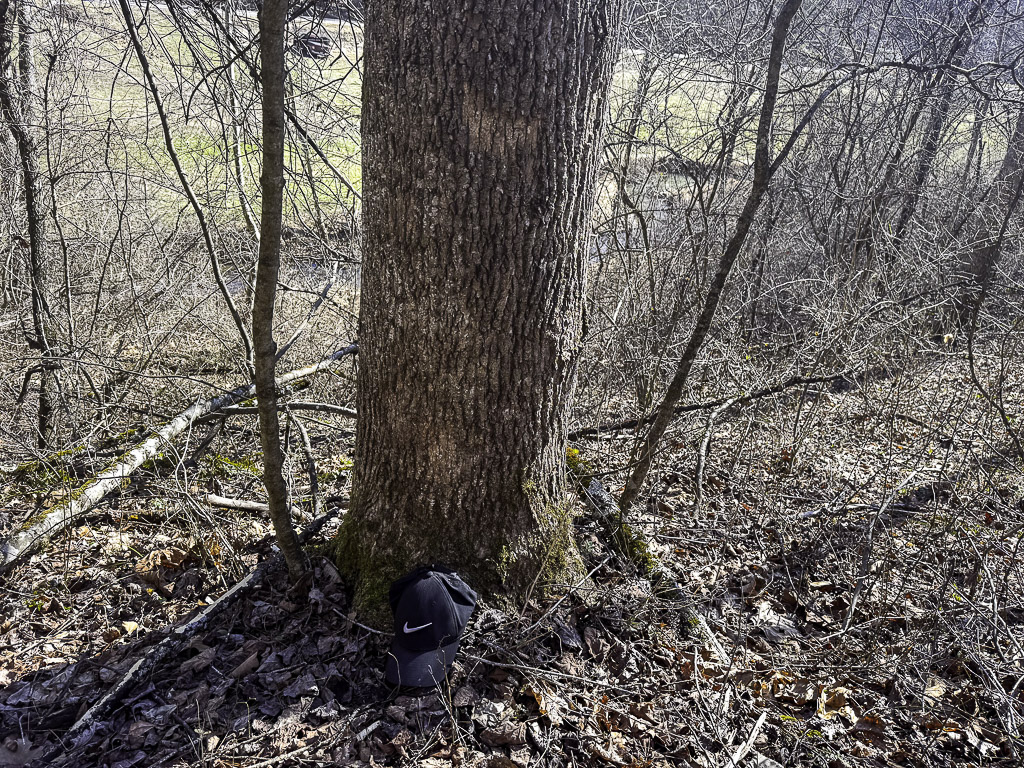 0 Clay Rd - 91 Acres in Roane County, WV - Photo 2