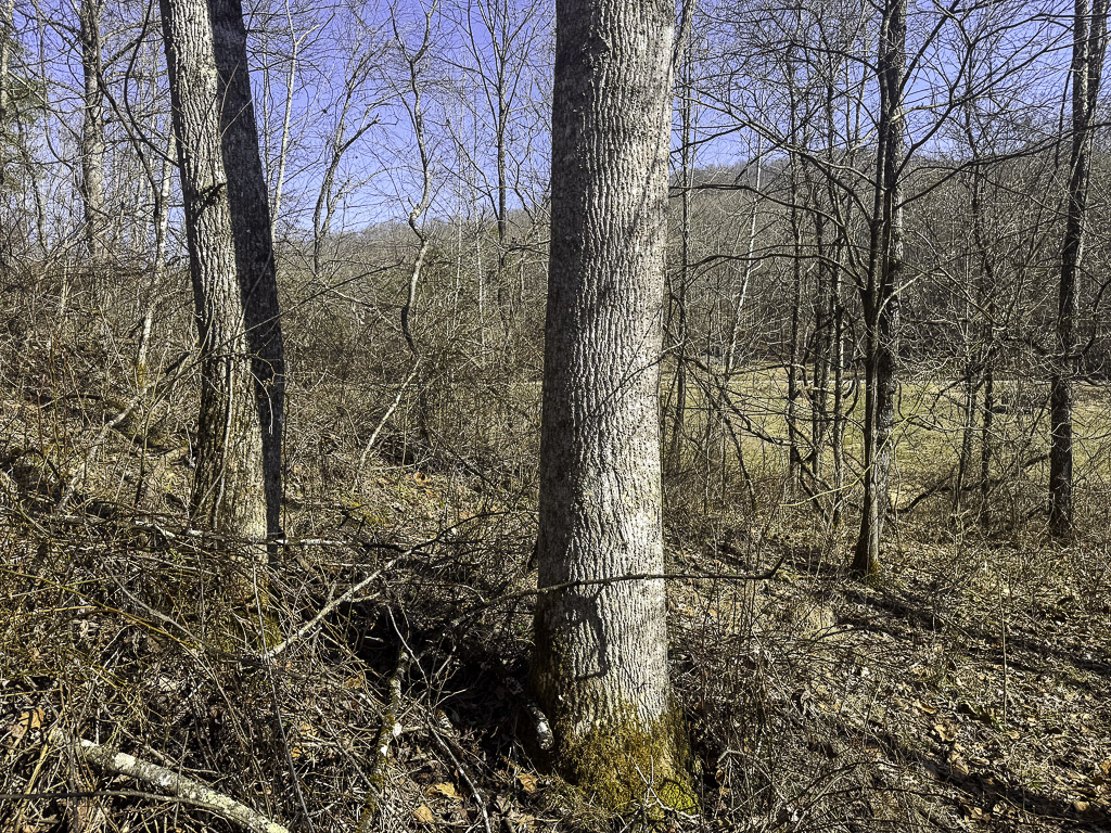 0 Clay Rd - 91 Acres in Roane County, WV - Photo 11
