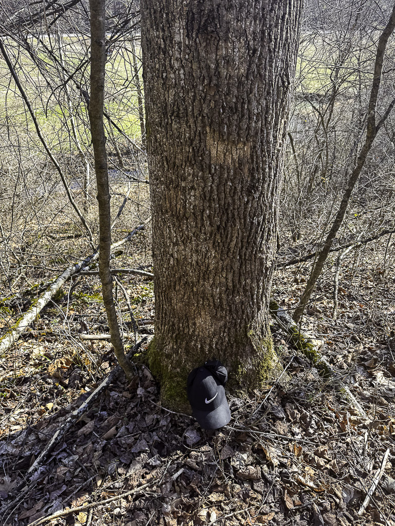 0 Clay Rd - 91 Acres in Roane County, WV - Photo 12