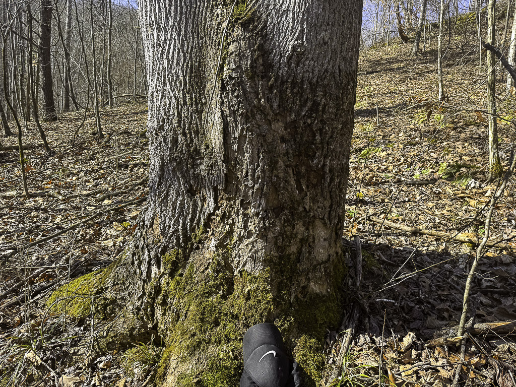 0 Clay Rd - 91 Acres in Roane County, WV - Photo 13