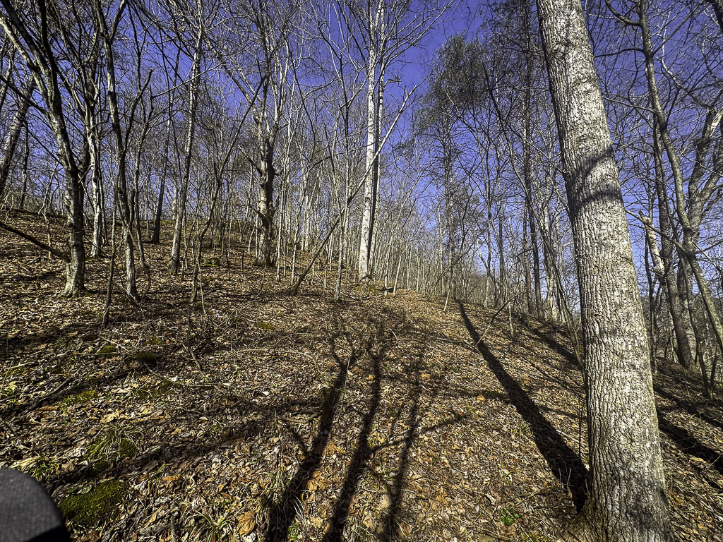 0 Clay Rd - 91 Acres in Roane County, WV - Photo 18