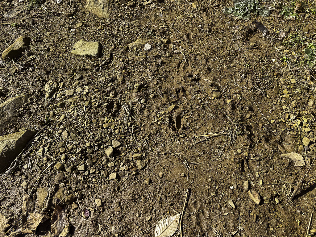 0 Clay Rd - 91 Acres in Roane County, WV - Photo 22