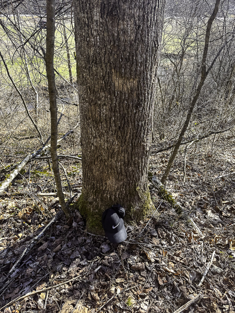 0 Clay Rd - 91 Acres in Roane County, WV - Photo 25