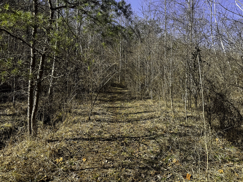 0 Clay Rd - 91 Acres in Roane County, WV - Photo 29