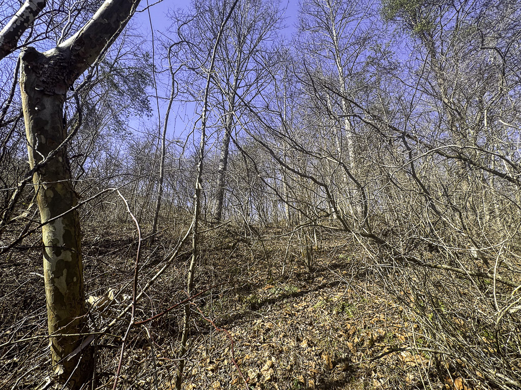0 Clay Rd - 91 Acres in Roane County, WV - Photo 30