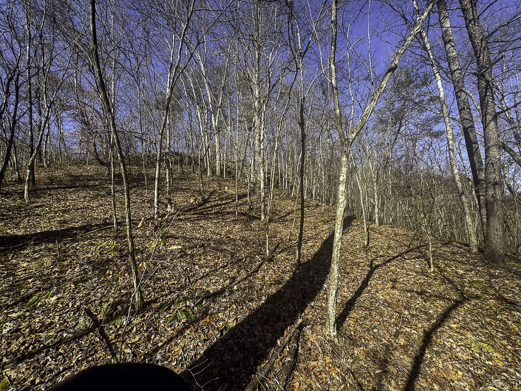 0 Clay Rd - 91 Acres in Roane County, WV - Photo 7